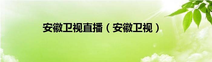 【安徽电视台直播】智能多功能料理机——厨房革命，一键美味！