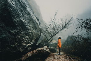 挑战极限，泰山之巅的爱与勇气——一位女孩背男友登上泰山的故事