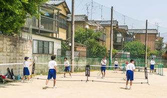 学校体育馆，活力与成长的交汇点